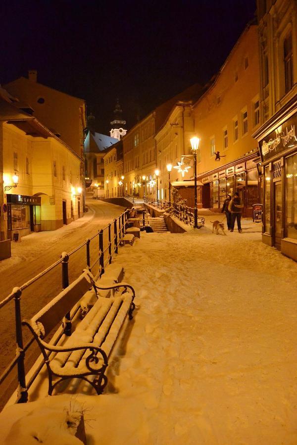 Penzion Nostalgia Hotel Banská Štiavnica Екстериор снимка